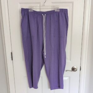 Blair Purple Capris - 2X